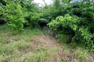 дом по адресу Рубіжна ул., 5