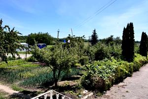 дом по адресу Горобцьова, 1
