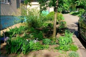 квартира по адресу Брюллова ул., 13