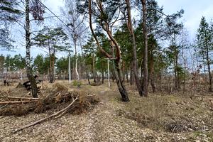 ділянка за адресою Левка Симиренка вул., 41