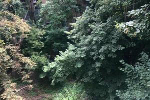 будинок за адресою Куприна