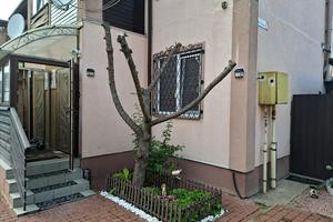 будинок за адресою Приміський пров., 5