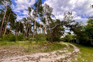 ділянка за адресою Садова 51 вулиця