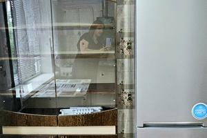 квартира за адресою Патріотична, 63