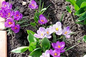 будинок за адресою Озерная, 7