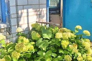 будинок за адресою с. Скибин, Роздинка