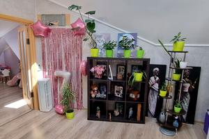 квартира по адресу Новоалександровская ул., 54а к4
