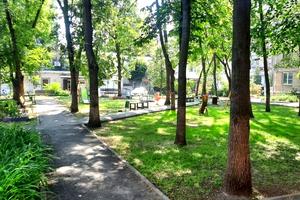 квартира по адресу Евгения Котляра ул. (Красноармейская), 12