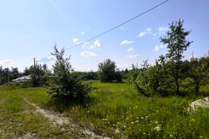 ділянка за адресою с. Дмитрівка, Франка І., 12