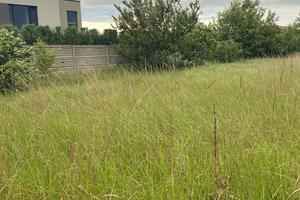 ділянка за адресою Незалежності