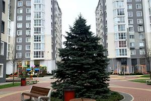 комерційна за адресою Олекси Тихого пров., 4 