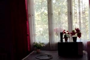 будинок за адресою Вигінь