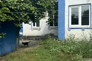 будинок за адресою Шевченка вул., 124а