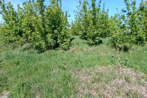 комерційна за адресою смт. Клевань, вул. Центральна, 32а