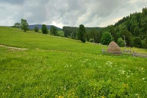 участок по адресу коротеньке