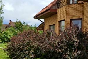 дом по адресу Освітня