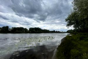 будинок за адресою садоводческая