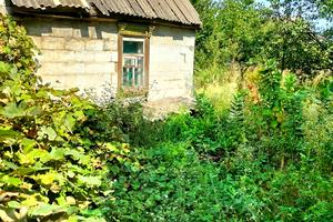 будинок за адресою Незамаївська вул. (Шишкіна)