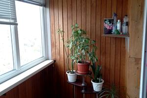 квартира за адресою Благовісна вул., 308