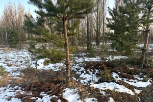 участок по адресу Васильківська, 22