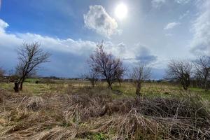 участок по адресу Ворошилова