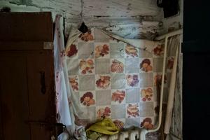 дом по адресу Вишнёвая ул. (Октябрьская)