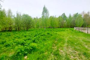 ділянка за адресою Левківська