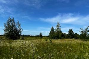 участок по адресу Вишнева