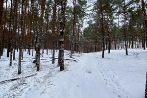 участок по адресу пгт. Козин, 
