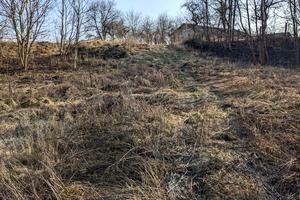 участок по адресу Озерна