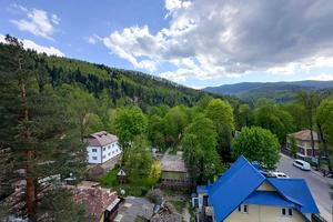 комерційна за адресою Яремче, Свободи вул., 311