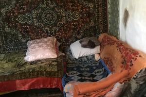 дом по адресу куща