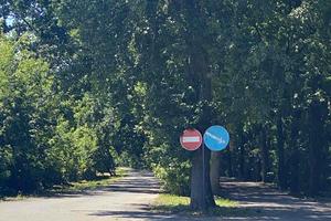 участок по адресу с. Гвоздов, Єлисеївська, 16