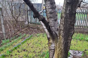 дом по адресу СК Волна
