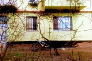 квартира за адресою солідарності, 539
