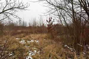 участок по адресу Озёрная ул.