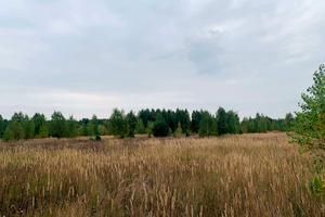ділянка за адресою Чапаева