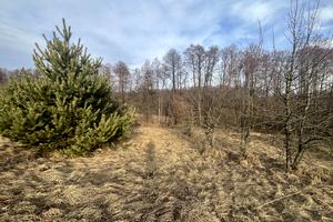 ділянка за адресою Вільхова