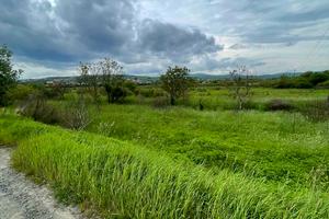 участок по адресу Краснодонців
