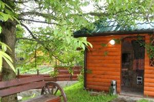 будинок за адресою Яремче, Камянка, 48