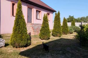 будинок за адресою Набережна