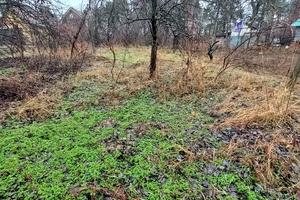 участок по адресу Вишгородська