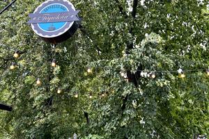 коммерческая по адресу Полевая ул., 24