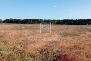 участок по адресу с. Гавриловка, Березова
