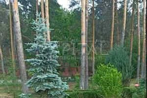 будинок за адресою Бучанське шосе