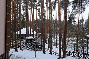 дом по адресу Лісова