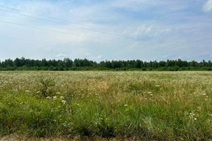 дом по адресу лінія