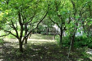 будинок за адресою Липова вул. (Синельникова), 9