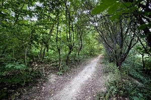 участок по адресу Лановая ул.