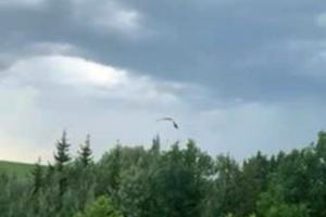 участок по адресу с. Веремье, Луки Дубового